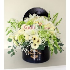 Splendeur Box: Monochrome